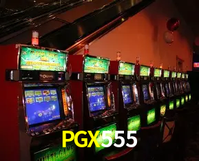 Flash Promotion PGX555