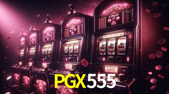 Interface Premium PGX555